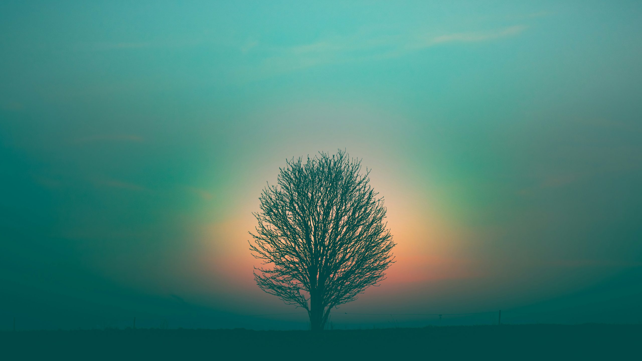 Spiritual Emergency Training